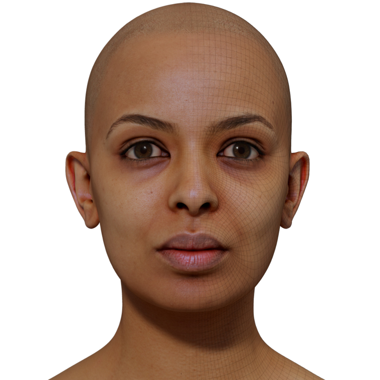 female-3d-model-retopologised-head-scan-029